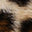 Image Swatch pour le code produit du chapeau : 186578