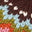 Image Swatch pour le code produit du chapeau : 740467