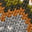 Image Swatch pour le code produit du chapeau : 740473